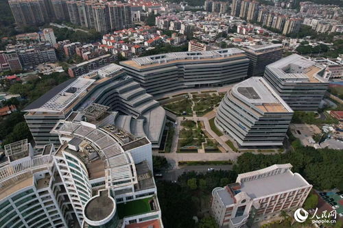 搭建平臺(tái) 編制目錄 廈門(mén)持續(xù)優(yōu)化政策促進(jìn)軟件產(chǎn)業(yè)高質(zhì)量發(fā)展